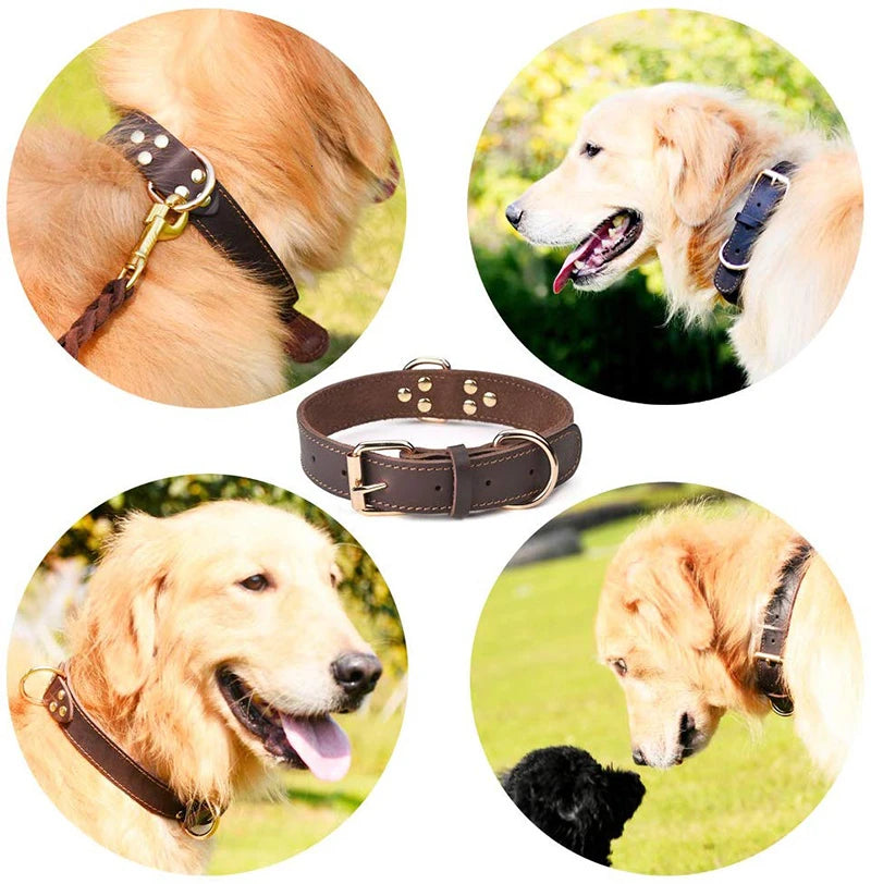 Benepaw Genuine Leather Dog Collar Heavy-Duty Double D-Ring