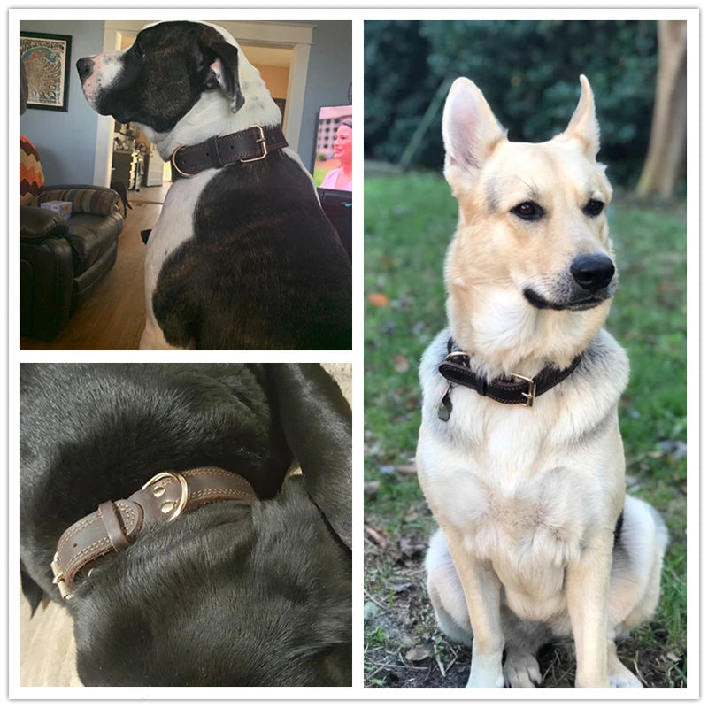 Benepaw Genuine Leather Dog Collar Heavy-Duty Double D-Ring