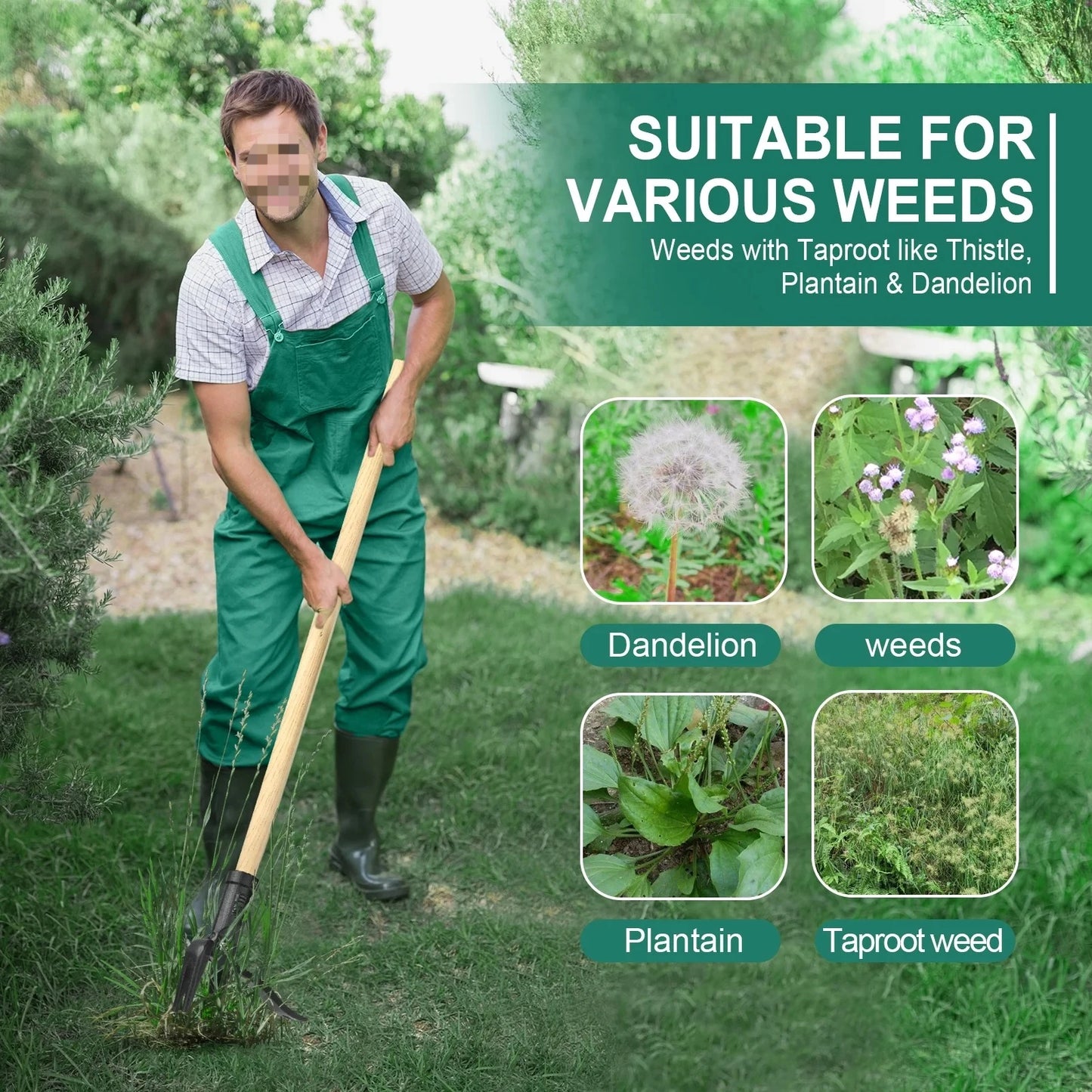 Stand Up Weed Puller With Long Wood Handle 4-Claw Head