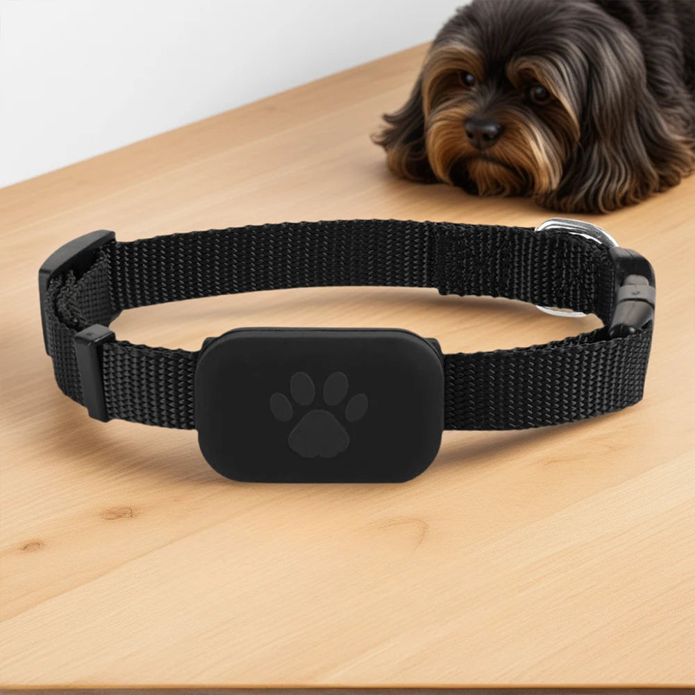 MOJOYCE Cat And Dog GPS Tracker With Adjustable Collar