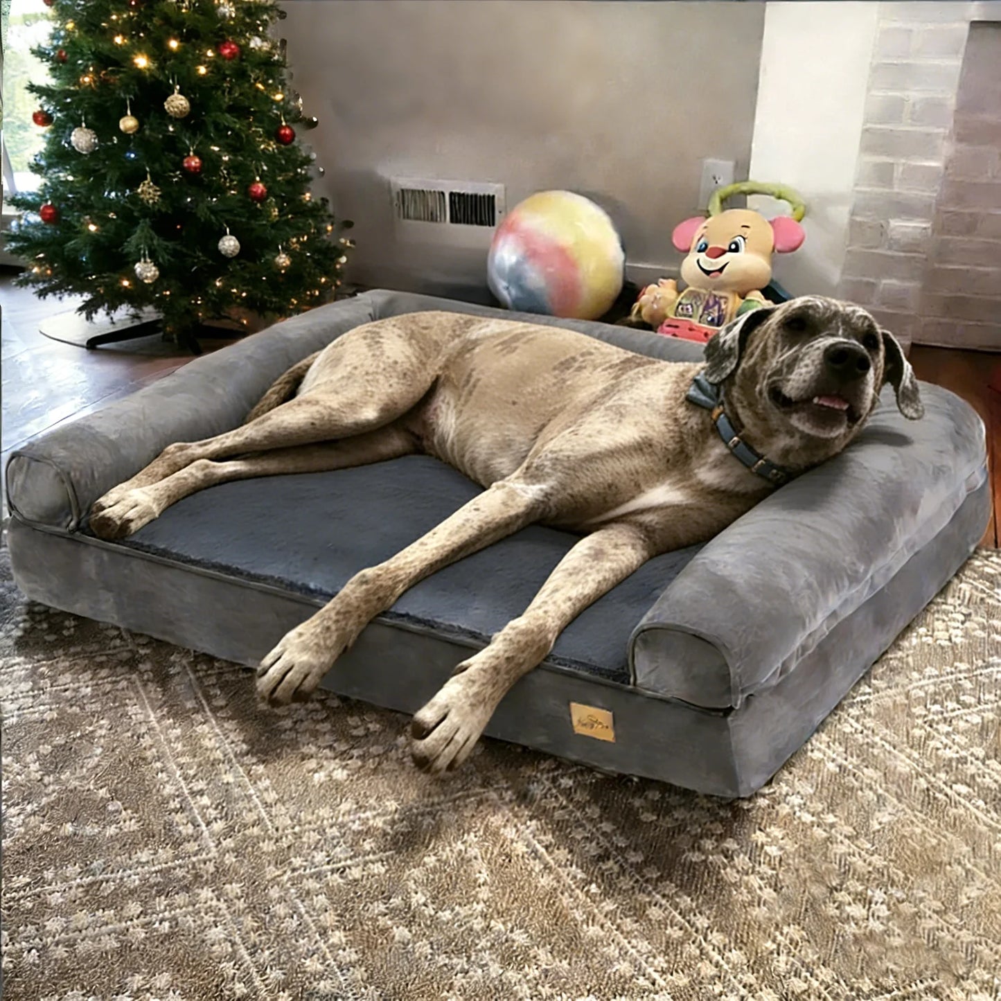 BORWARTCN Orthopedic Memory Foam Dog Bed With Removable Waterproof Cover