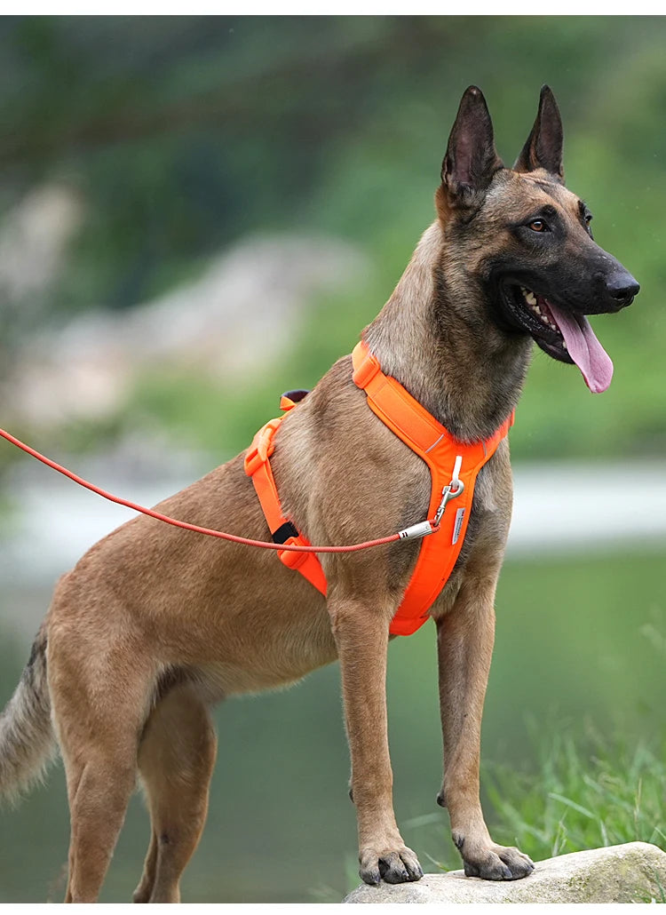 Small Combination Reflective No Pull Adjustable Dog Harness Vest