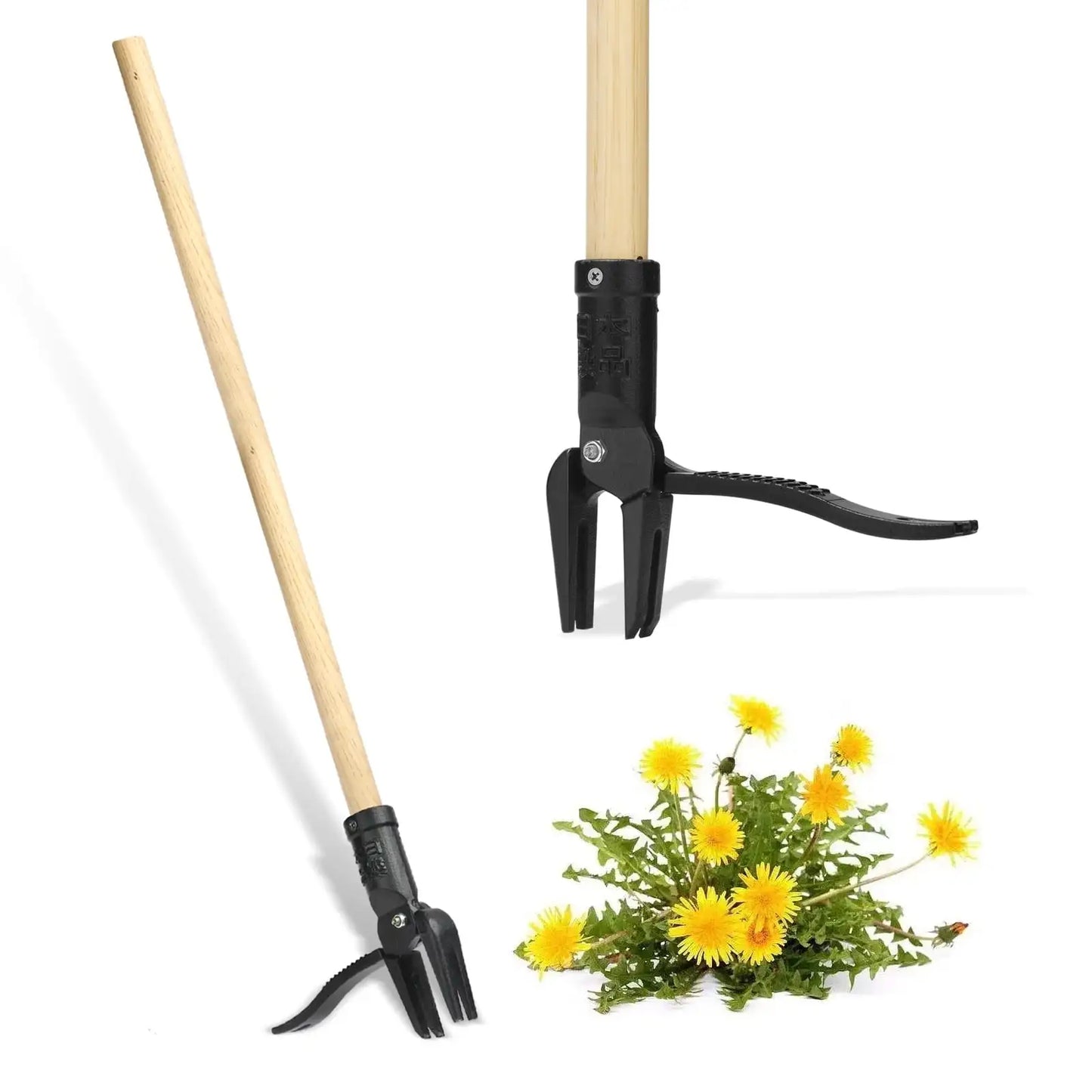 Stand Up Weed Puller With Long Wood Handle 4-Claw Head