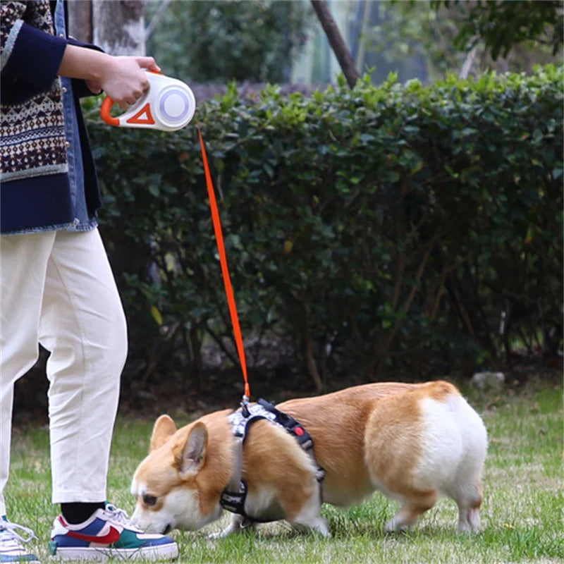 Automatic Retractable Dog Leash With Led Light And Nylon
