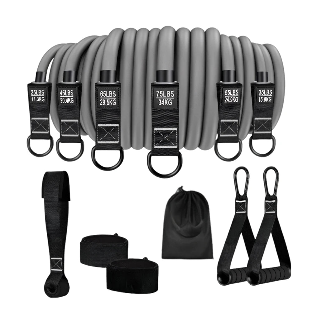 Shunmaii Resistance Bands Set With Handles For Home Fitness
